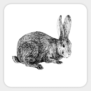 Rabbit Sticker